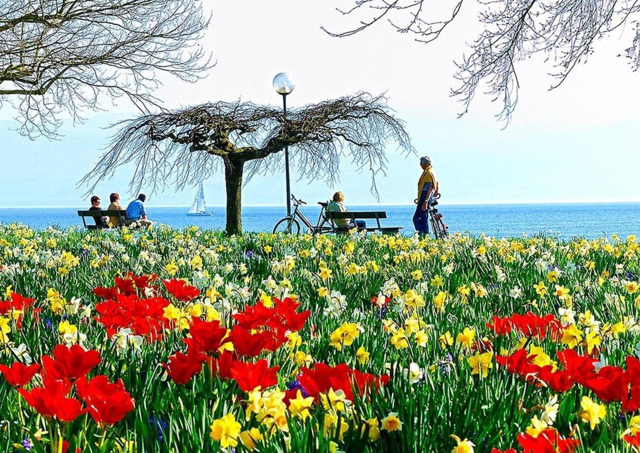 Hotel Am Rehberg Lindau  Buitenkant foto